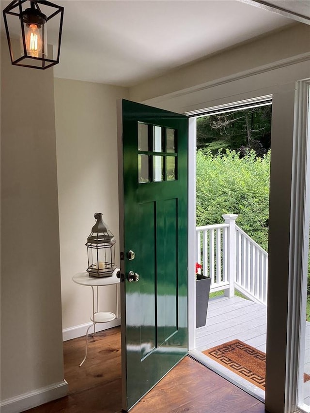 doorway to outside with dark hardwood / wood-style flooring