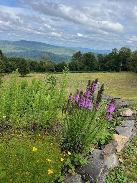 view of yard featuring a mountain view