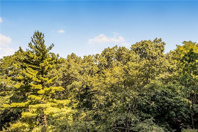 3935 Blackstone Ave Unit 4K, Bronx, NY 10471 - view of landscape