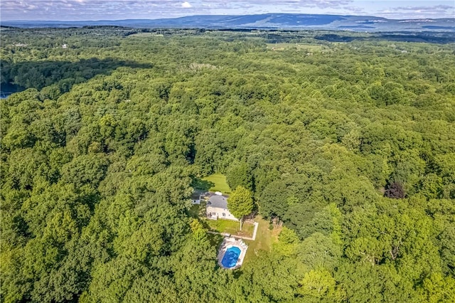 bird's eye view featuring a mountain view