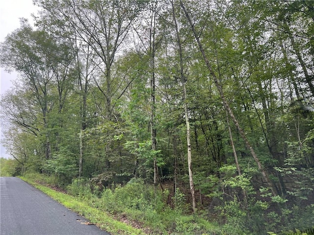 Decker Rd, Middletown NY, 10940 land for sale