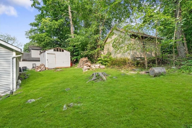 view of yard featuring a storage shed