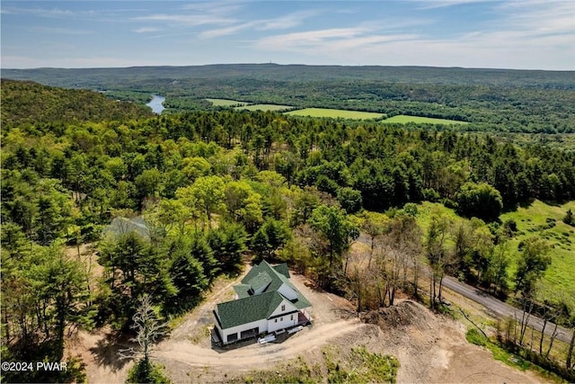 bird's eye view