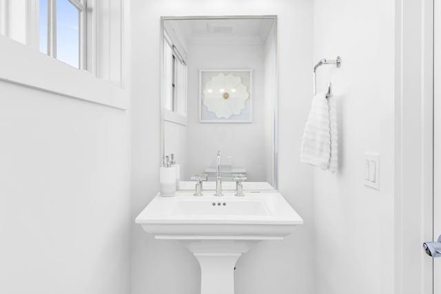 bathroom with crown molding, sink, and a wealth of natural light