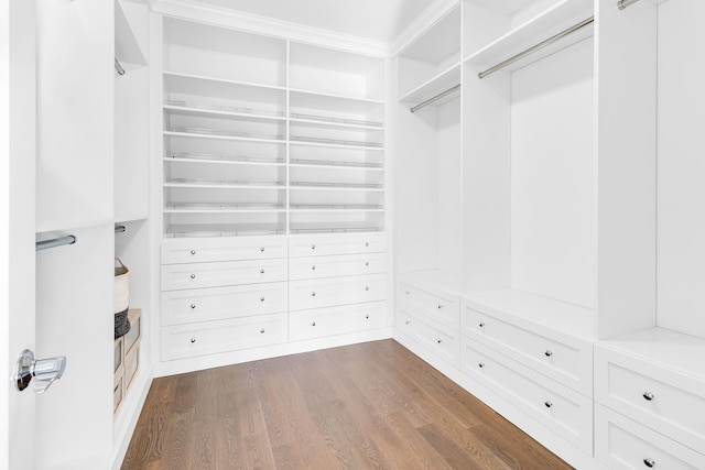 spacious closet featuring dark wood-type flooring