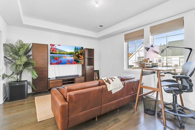 living room featuring dark hardwood / wood-style floors and a raised ceiling