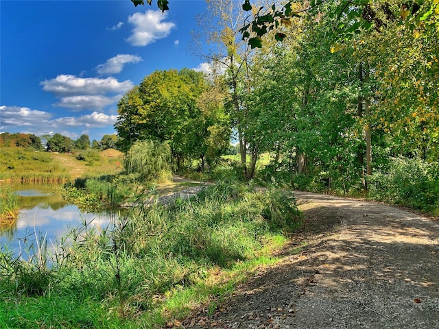 view of local wilderness with a water view