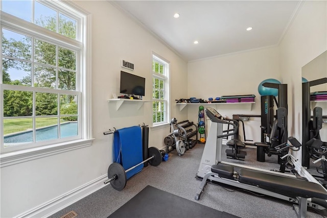 exercise area featuring a wealth of natural light and ornamental molding