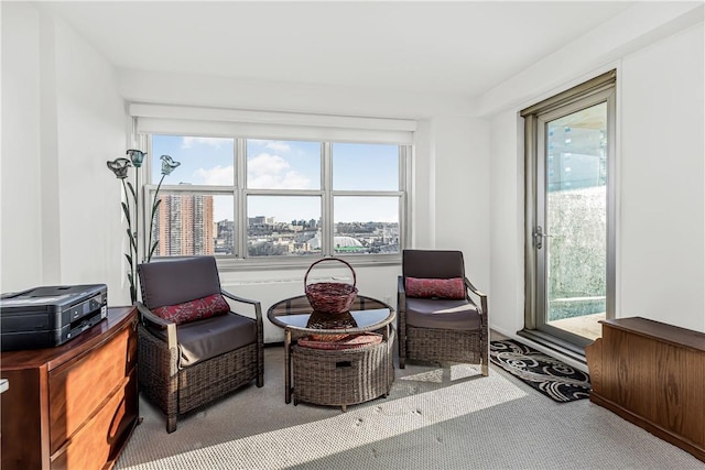 living area with carpet floors