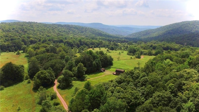 bird's eye view featuring a mountain view