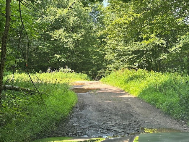 view of road