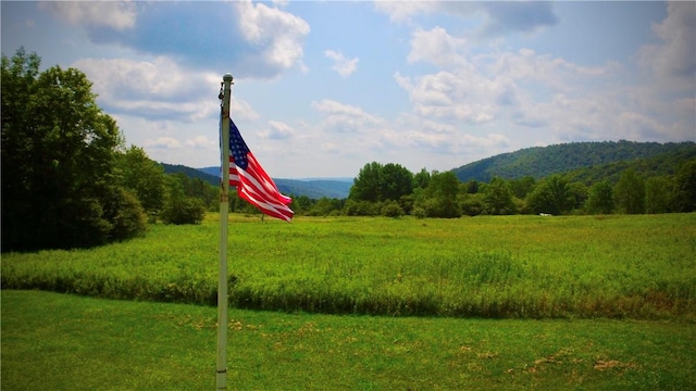 view of mountain feature