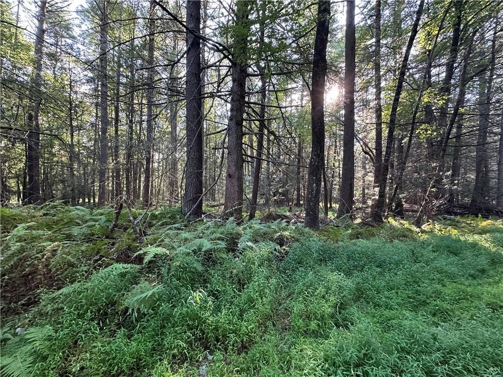 0 6 Ward Brower Jr Dr, Barryville, NY 12719 - photo 1