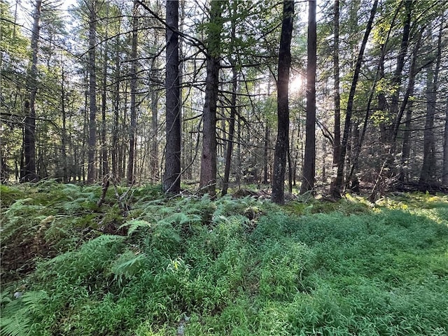 0 6 Ward Brower Jr Dr, Barryville, NY 12719 - photo 1