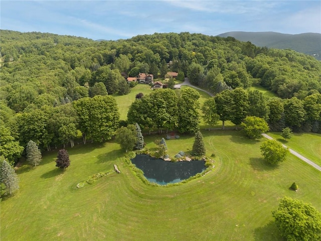 94 Overlook Dr, Andes, NY 13731 - bird's eye view with a water view