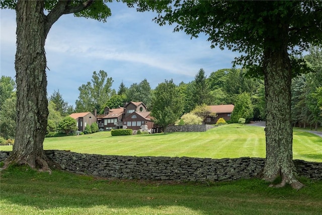 94 Overlook Dr, Andes, NY 13731 - view of community with a yard