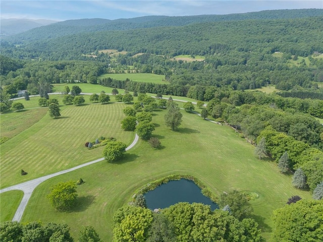 94 Overlook Dr, Andes, NY 13731 - aerial view featuring a water and mountain view