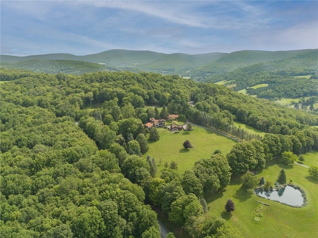 94 Overlook Dr, Andes, NY 13731 - birds eye view of property with a water and mountain view