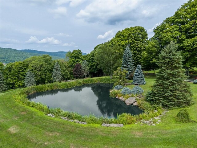 94 Overlook Dr, Andes, NY 13731 - view of water feature with a mountain view