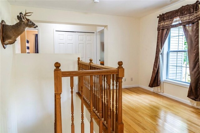 stairs with plenty of natural light and hardwood / wood-style flooring