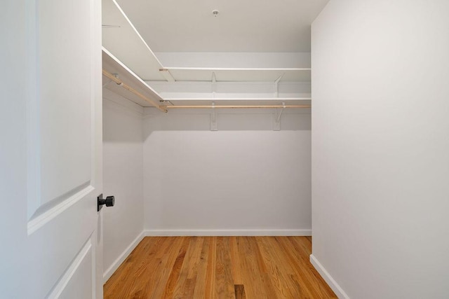 23 Northbrook Rd Unit 202, Spring Valley, NY 10977 - walk in closet featuring light wood-style flooring