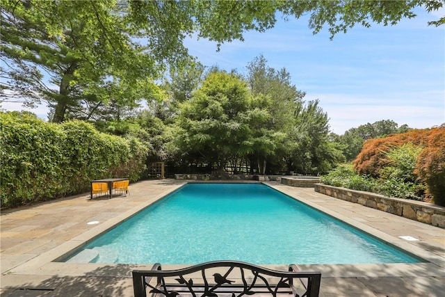 view of swimming pool with a patio area