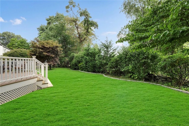 view of yard with a wooden deck