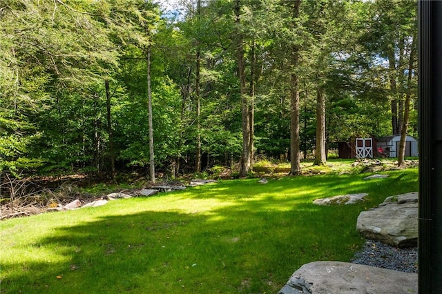 view of yard featuring a storage shed