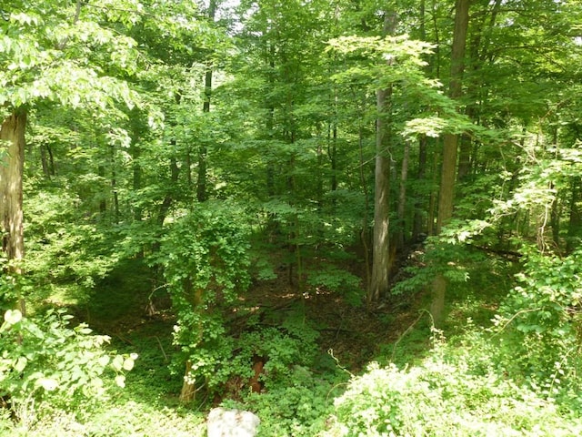 Church Rd, Putnam Valley NY, 10579 land for sale