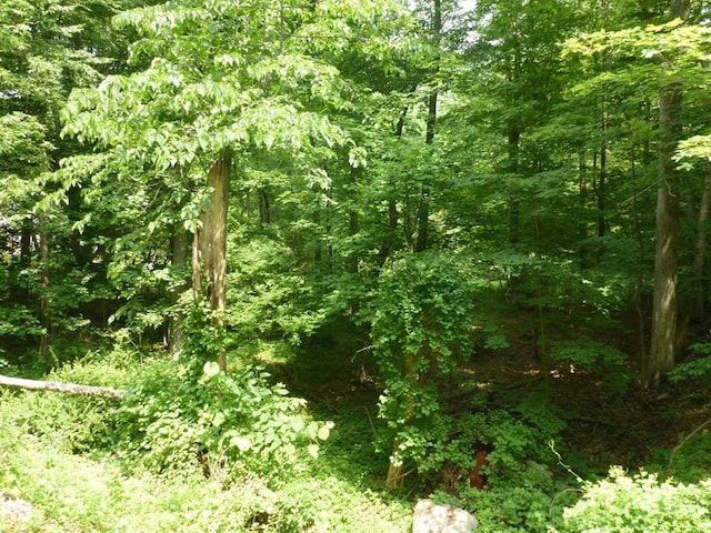 Listing photo 2 for Church Rd, Putnam Valley NY 10579