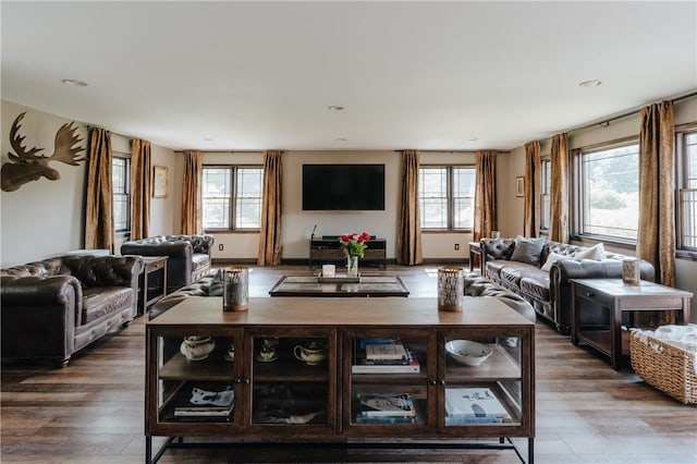 living room featuring hardwood / wood-style flooring and plenty of natural light