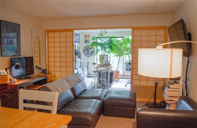 160 Academy St Unit 9L, Poughkeepsie, NY 12401 - view of carpeted living area