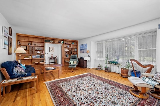 living area featuring wood-type flooring