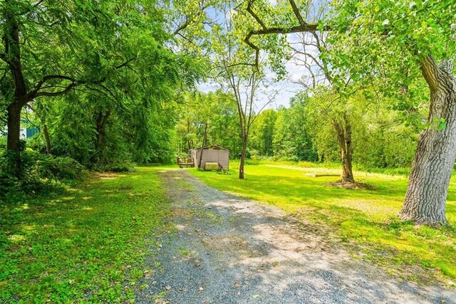 view of home's community with a yard