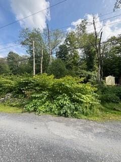 17 Sylvan Trl, Monroe NY, 10950 land for sale