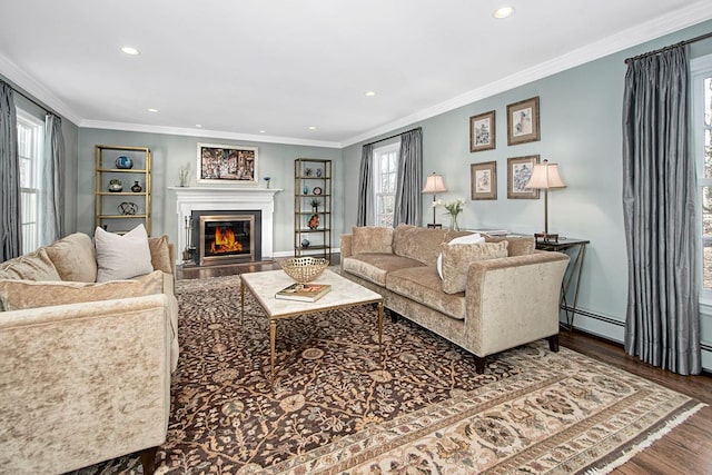 living area with ornamental molding, wood finished floors, a glass covered fireplace, and a healthy amount of sunlight