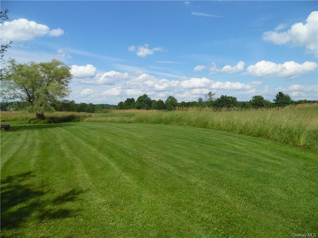 view of yard with a rural view