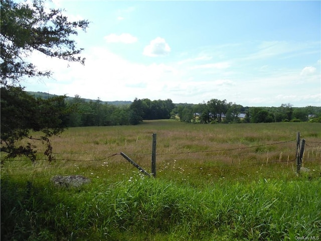 view of yard with a rural view