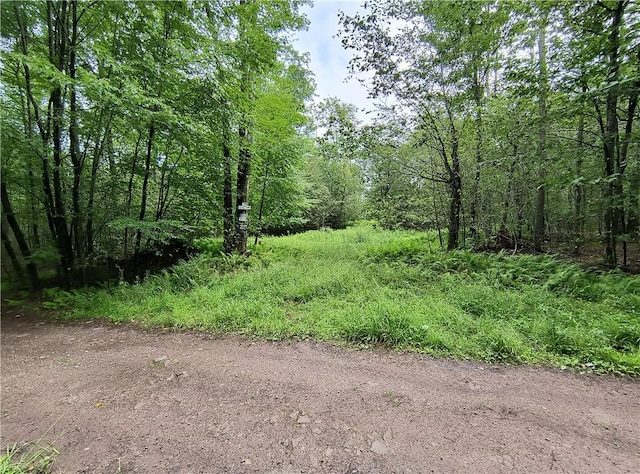 790 Oak Ln, East Branch NY, 13783 land for sale