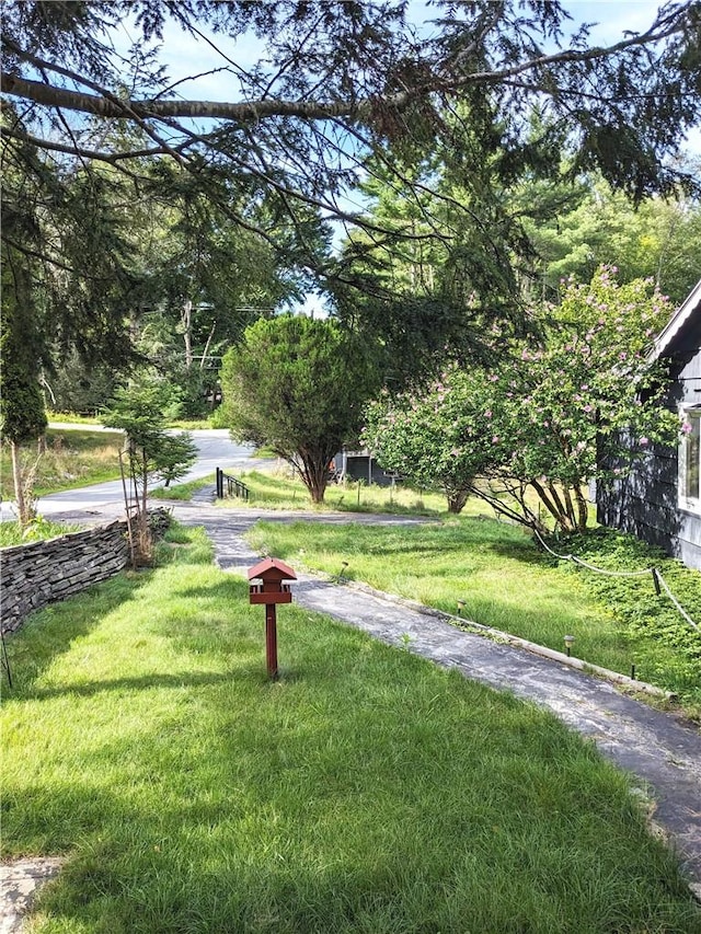 view of community featuring a lawn