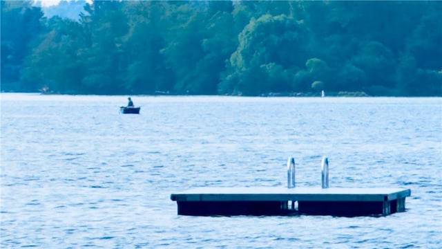 69 SW Colony Rd, Call Listing Agent, NY 12529 - dock with a water view