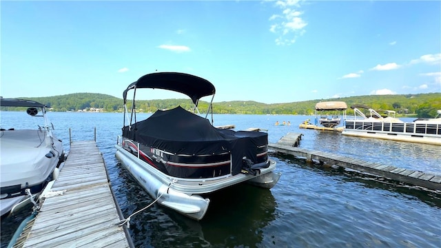 dock area with a water view