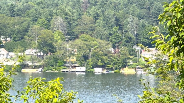 69 SW Colony Rd, Call Listing Agent, NY 12529 - water view with a forest