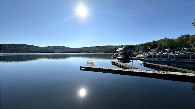 water view with a dock