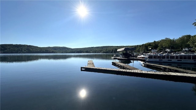 69 SW Colony Rd, Call Listing Agent, NY 12529 - dock featuring a water view and a wooded view