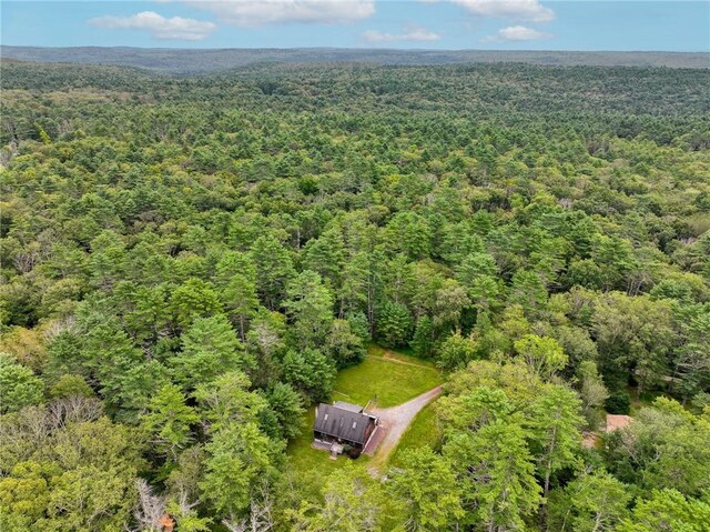 160 Yulan Barryville Rd, Barryville, NY 12719 - photo 27