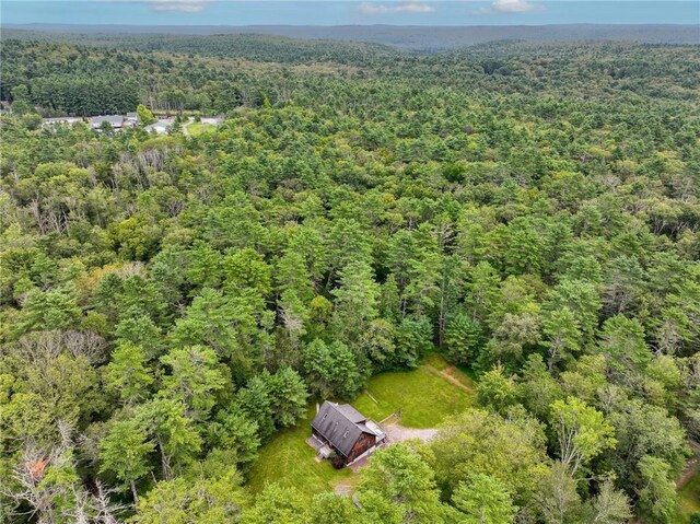 160 Yulan Barryville Rd, Barryville, NY 12719 - photo 28