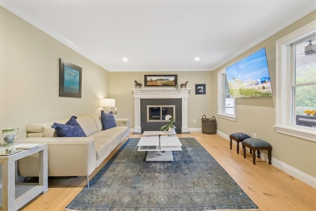 living room featuring light hardwood / wood-style floors and crown molding