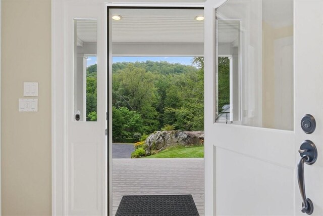 entryway featuring a healthy amount of sunlight