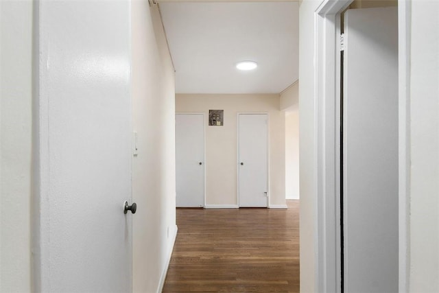 corridor with dark hardwood / wood-style flooring